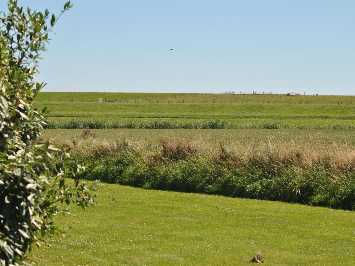 Charming Holiday Home In Texel Near Sea Oost  المظهر الخارجي الصورة