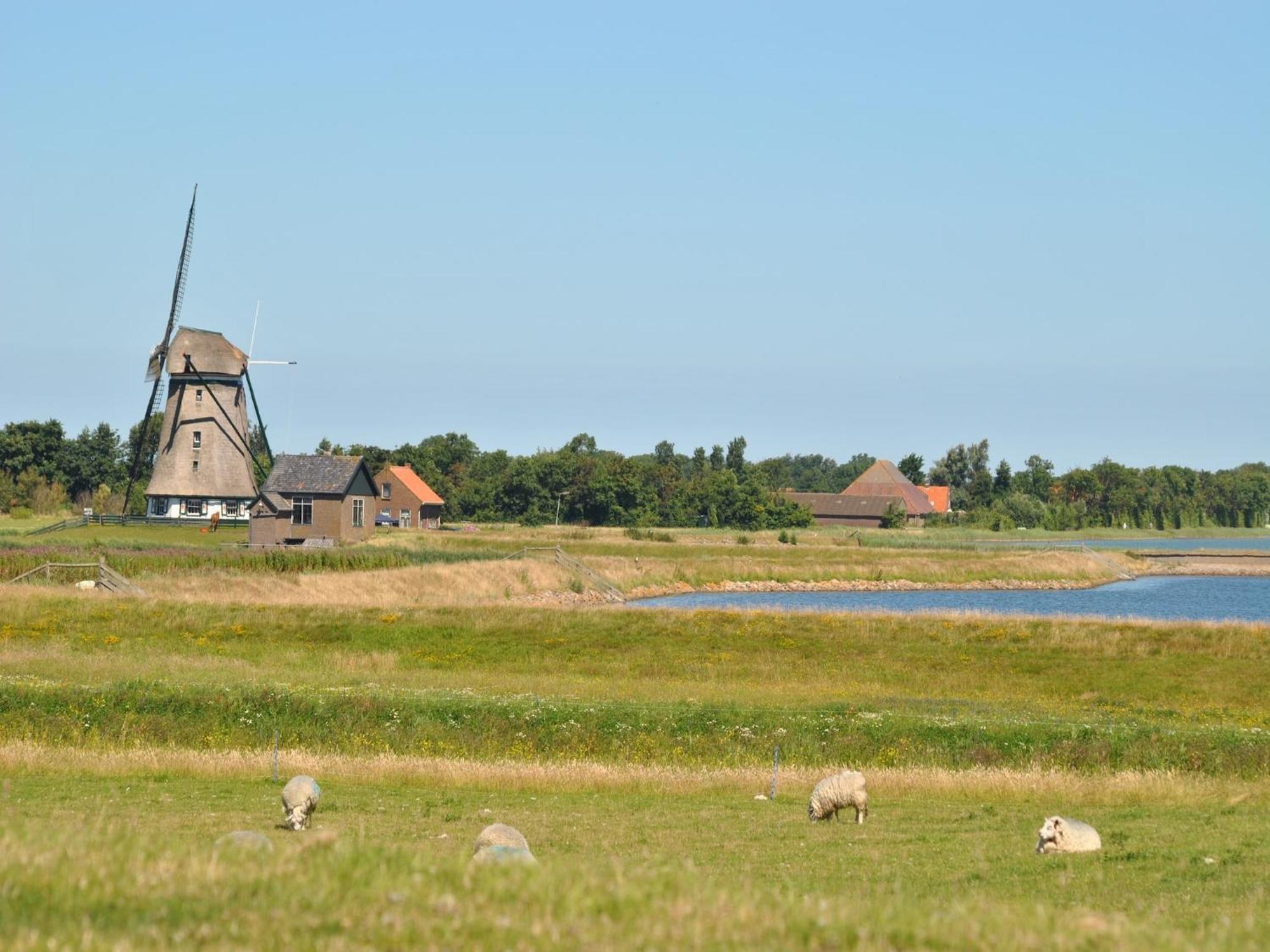 Charming Holiday Home In Texel Near Sea Oost  المظهر الخارجي الصورة
